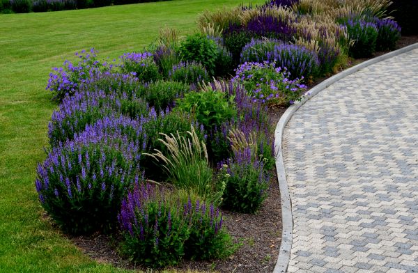 Sidewalk Curb Installation in Castle Rock