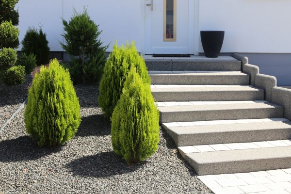 Exterior Steps Construction in Castle Rock